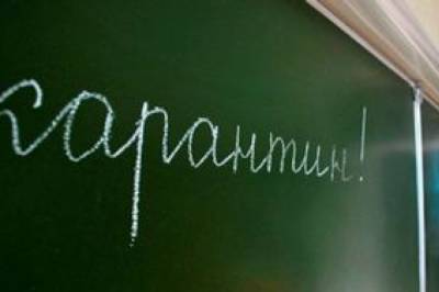 Степанов: Учеников младших классов не будут возвращать в школы до конца локдауна