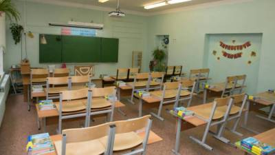 В России не планируют досрочно завершать учебный год