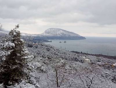 Южный берег Крыма замело снегом (фото)