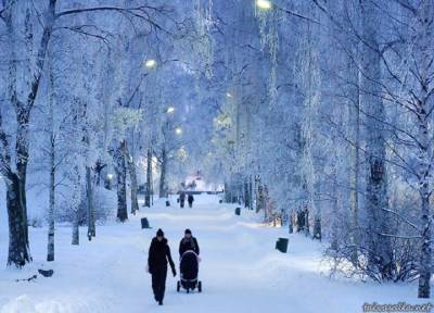 Как правильно гулять в мороз и зачем вообще это нужно: советы для здоровья