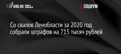 Со свалок Ленобласти за 2020 год собрали штрафов на 715 тысяч рублей