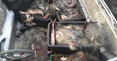 В Калининградском заливе задержали браконьеров с 400 кг рыбы