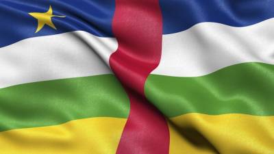 Правительство Центральноафриканской Республики оценило помощь РФ в сфере безопасности