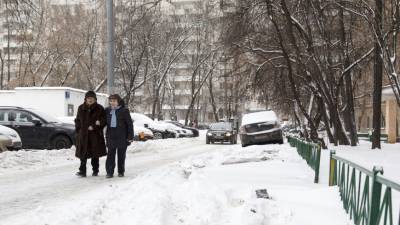 В субботу в Московском регионе прогнозируются снегопад и метели