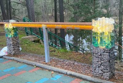 Парку "Приморский" в Сосновом бору потребовалась дополнительная защита от вандалов