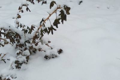 На выходных Оренбургскую область ожидает снег и холодный ветер