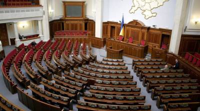 Рада планирует проголосовать за сокращение количества депутатов в январе – Совгиря