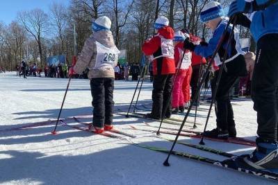 Туляков приглашают к участию в лыжной гонке