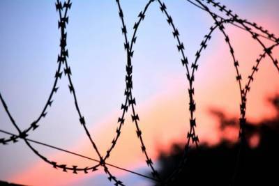 В Германии ковид-диссидентов начнут сажать в тюрьму