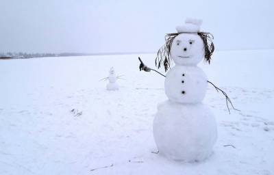 В Твери объявлен конкурс снеговиков