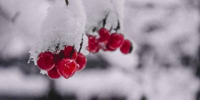 Оттепель и морозы до -23. Синоптик дал прогноз погоды в Украине до конца января