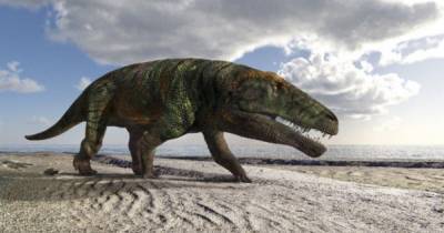 Высоко в Альпах найдены следы доисторической рептилии, похожей на крокодила