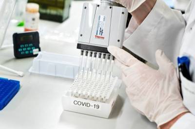 Ученые из Китая смоделировали развитие пандемии коронавируса в 2021 году