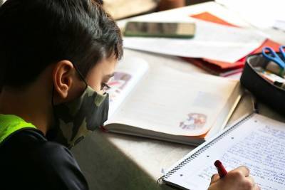 Германия: Исключение школьников, отказывающихся носить маски — неправомерно