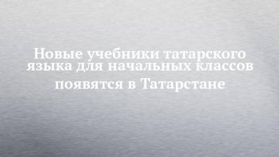 Новые учебники татарского языка для начальных классов появятся в Татарстане
