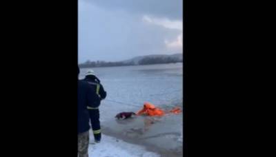 Показано видео, как в Киеве бойцы ГСЧС достали из-подо льда собаку