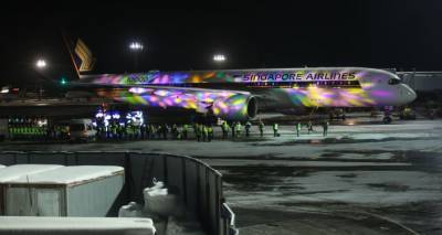 Более 20 рейсов задержаны или отменены в аэропортах Москвы из-за снегопада