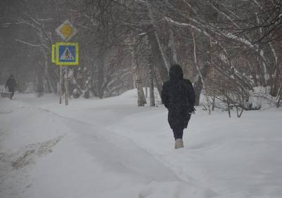 Снегопад в Рязани продлится до конца суток