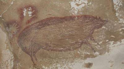 В пещере в Индонезии найден древнейший в мире наскальный рисунок животного