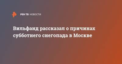 Вильфанд рассказал о причинах субботнего снегопада в Москве