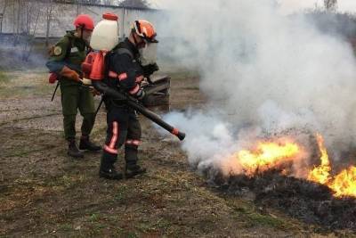 Добровольные лесные пожарные Забайкалья впервые получили президентский грант 0,5 млн р.