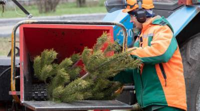 В Киеве сдать новогодние елки на утилизацию можно до февраля