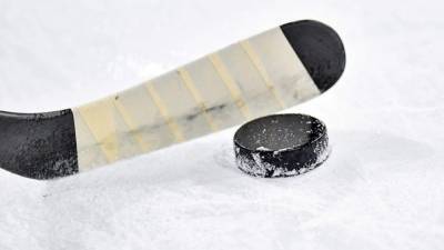 Skoda и Nivea Men могут отказаться от спонсирования чемпионата мира по хоккею