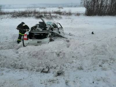 Сегодня в столкновении с грузовиком на трассе в Башкирии погибли четыре человека - ufatime.ru - Башкирия - Уфа - Челябинск - Самара