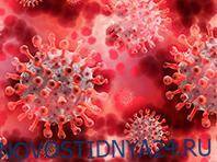 Пандемия коронавируса вызвала расцвет устойчивой формы гонореи
