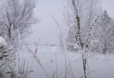 Лыжи и санки не прячьте: снег и морозы задержатся - названа дата прихода тепла