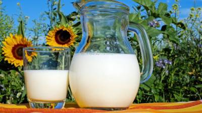 Ученые перечислили молочные продукты для укрепления здоровья