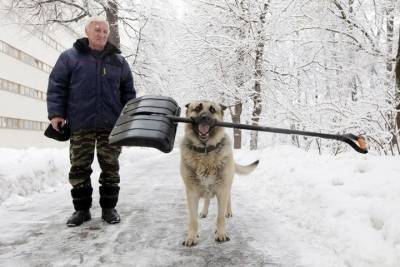 Высота снежного покрова в Москве почти достигла 40 см