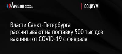 Власти Санкт-Петербурга рассчитывают на поставку 500 тыс доз вакцины от COVID-19 с февраля