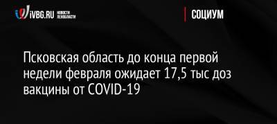 Псковская область до конца первой недели февраля ожидает 17,5 тыс доз вакцины от COVID-19