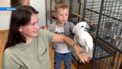 Супруги из Башкирии зарабатывают на разведении попугаев