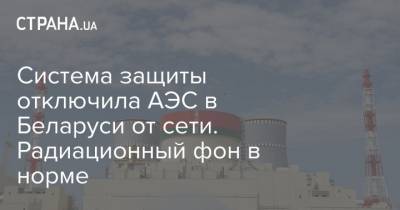 Система защиты отключила АЭС в Беларуси от сети. Радиационный фон в норме