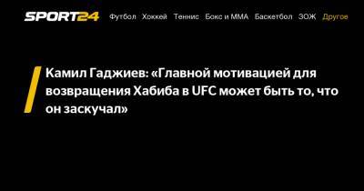 Камил Гаджиев: «Главной мотивацией для возвращения Хабиба в UFC может быть то, что он заскучал»