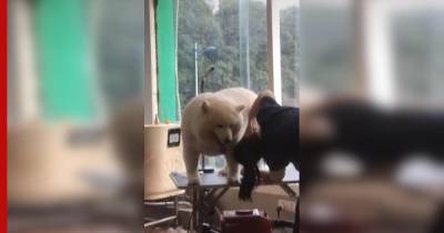 Собака прославилась после стрижки "в стиле" полярного медведя: видео