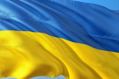 Украинский политик раскритиковал закон о языке