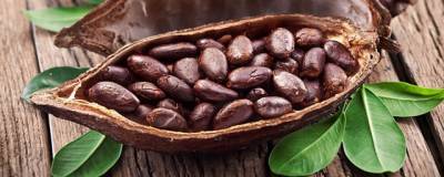 Учёные объяснили, как какао влияет на работу мозга
