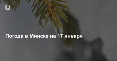Погода в Минске на 17 января