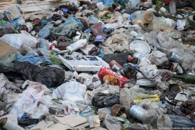 Куда незаконно сваливали мусор в Томске в 2020 году: адреса