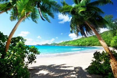 Сейшельские острова будут открыты для туристов, получивших вакцину от COVID-19