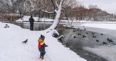 До 20 градусов мороза ожидается в столичном регионе 17 января
