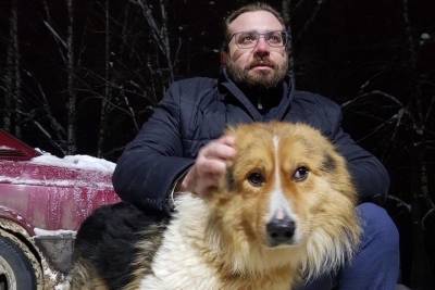 Глава Иванова Владимир Шарыпов приютил бездомную собаку