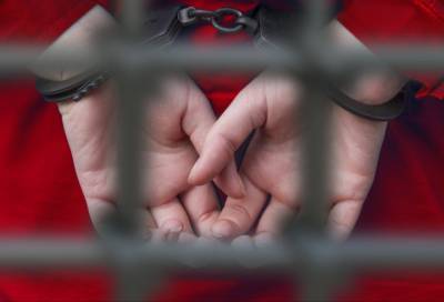 Петербурженкам грозит 7 лет тюрьмы за организацию незаконной миграции