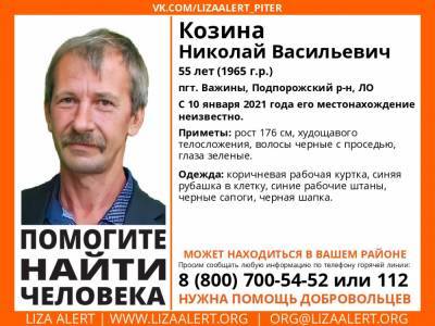 В Подпорожском районе без вести пропал 55-летний мужчина