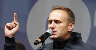 Алексей Навальный - Давид Френкель - В России силовики задержали девять человек, которые планировали встречать Навального - tsn.ua - Москва - Россия