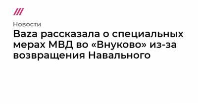 Baza рассказала о специальных мерах МВД во «Внуково» из-за возвращения Навального