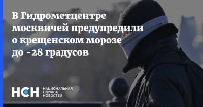 В Гидрометцентре москвичей предупредили о крещенском морозе до -28 градусов
